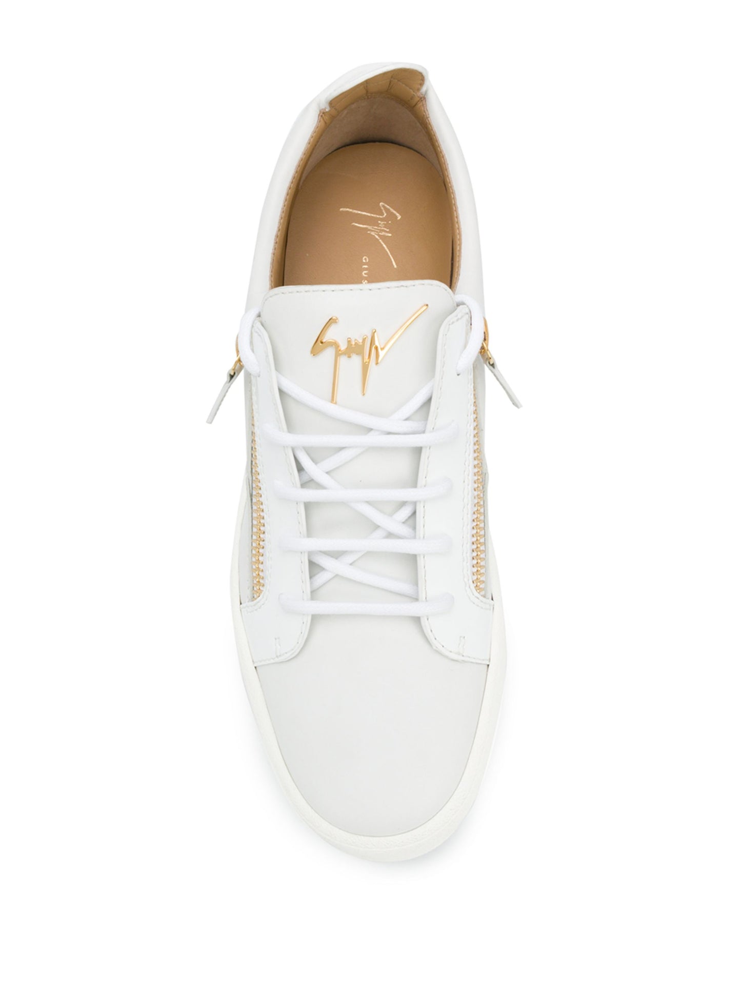 Giuseppe Zanotti